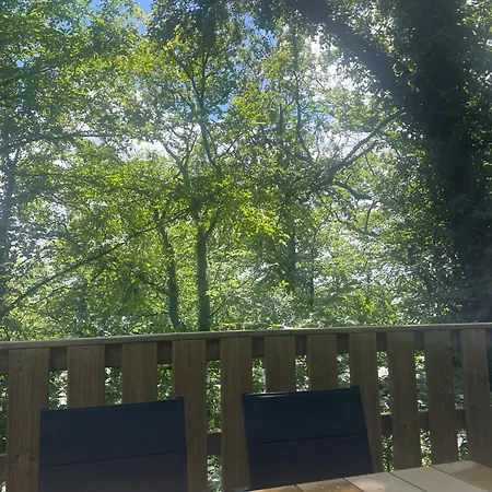 Madam Padam In دربي