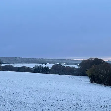 Madam Padam In 杜柏