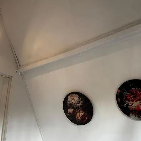 Madam Padam In 木屋 杜柏