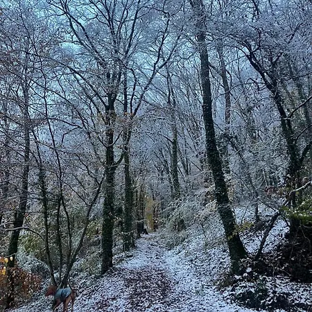 Madam Padam In Alpstuga Durbuy