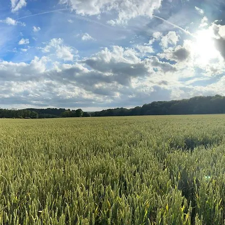 شاليه Madam Padam In *