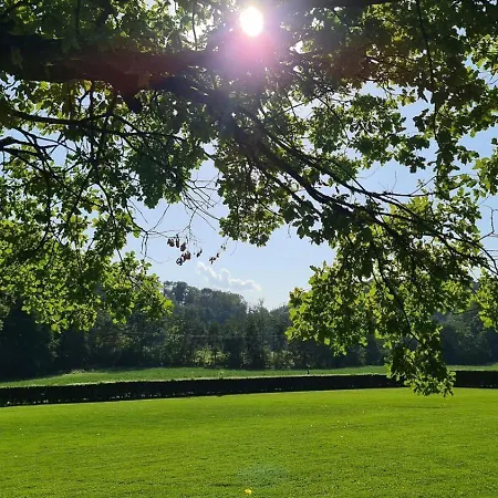 Madam Padam In شاليه