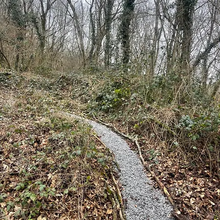 木屋 Madam Padam In *