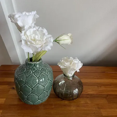 Madam Padam In 木屋 杜柏