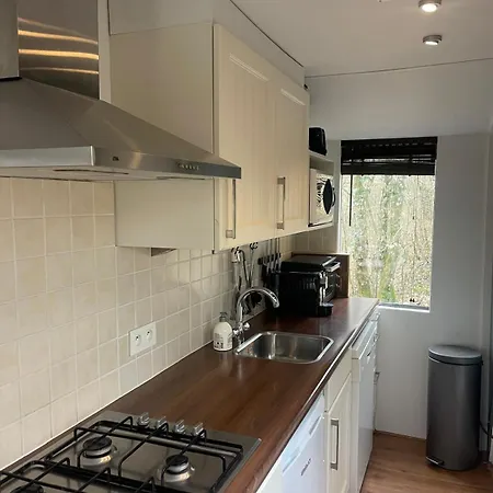 Madam Padam In 木屋 杜柏